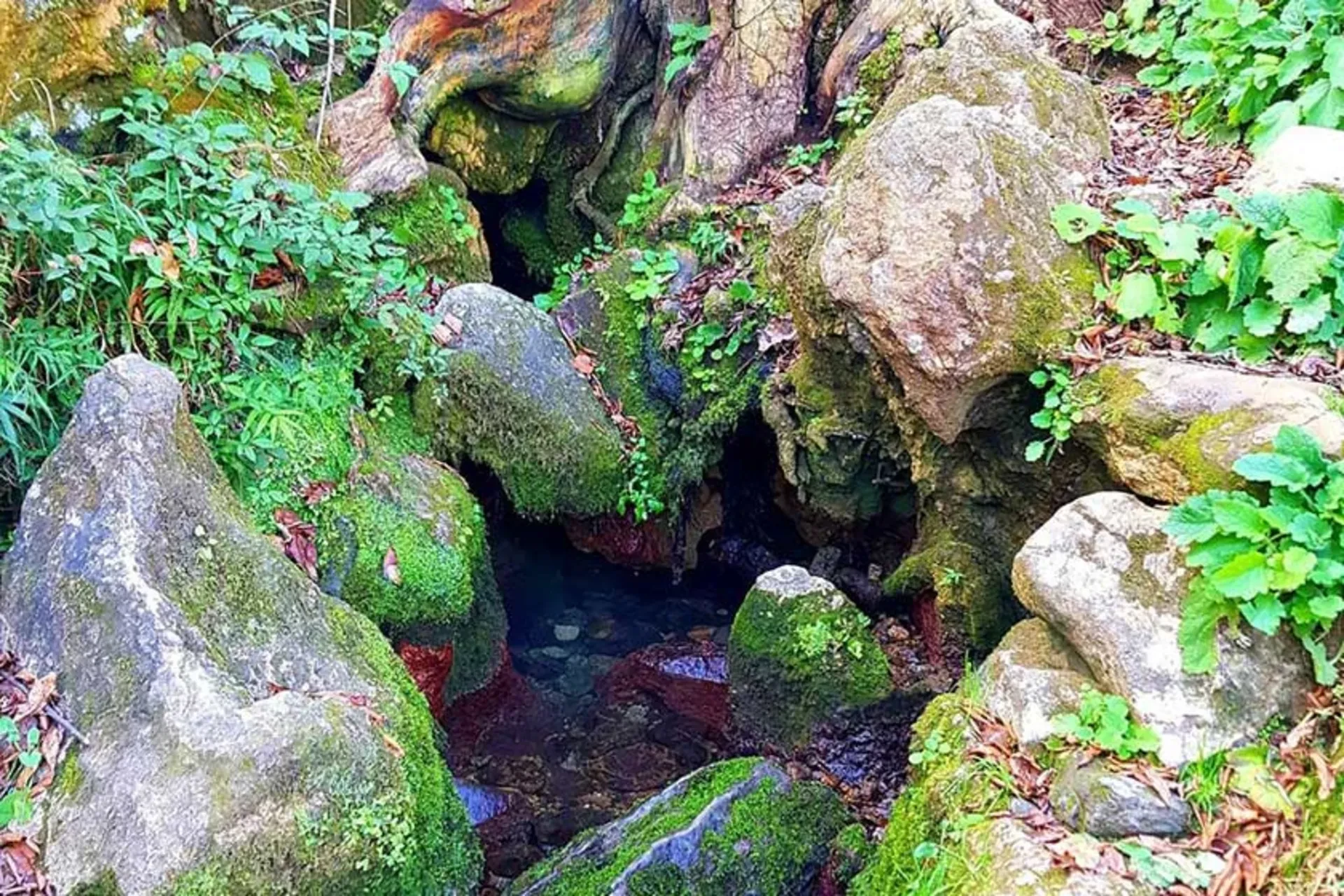 چشمه  دمکش چابکسر