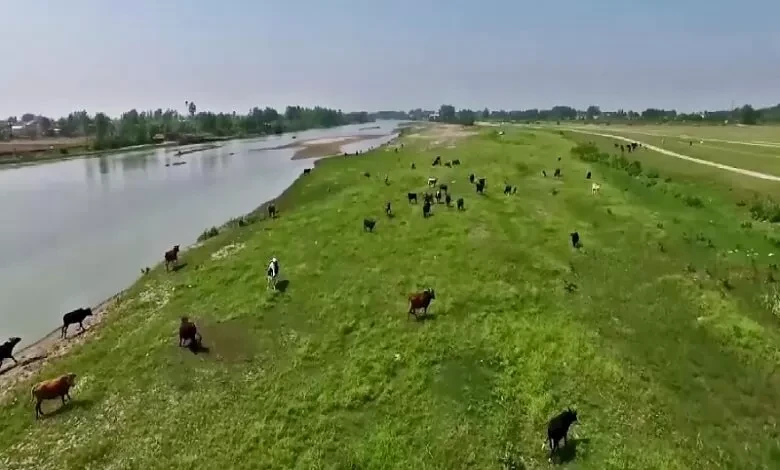 Национальный парк Бужаг Бандар-е Кияшахр