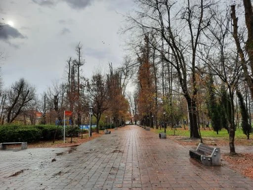 باغ محتشم رشت