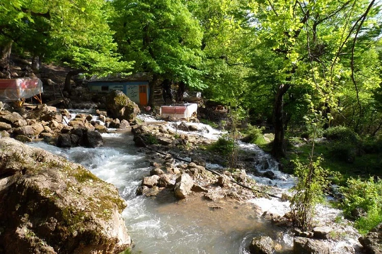 امامزاده ابوطالب رودبار کلشتر