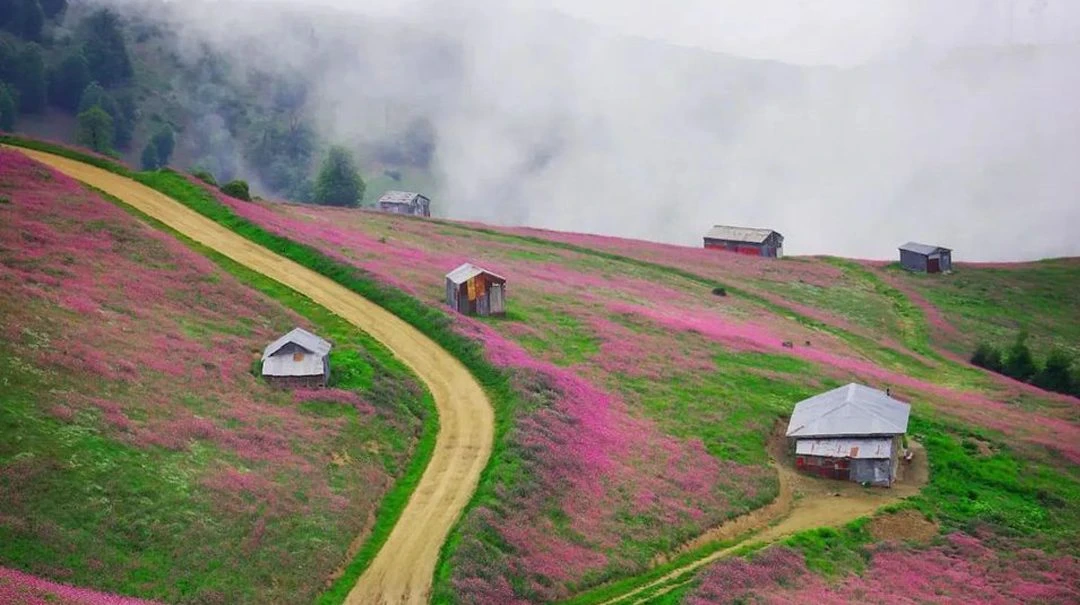 ییلاق سلانسر رستم آباد رودبار