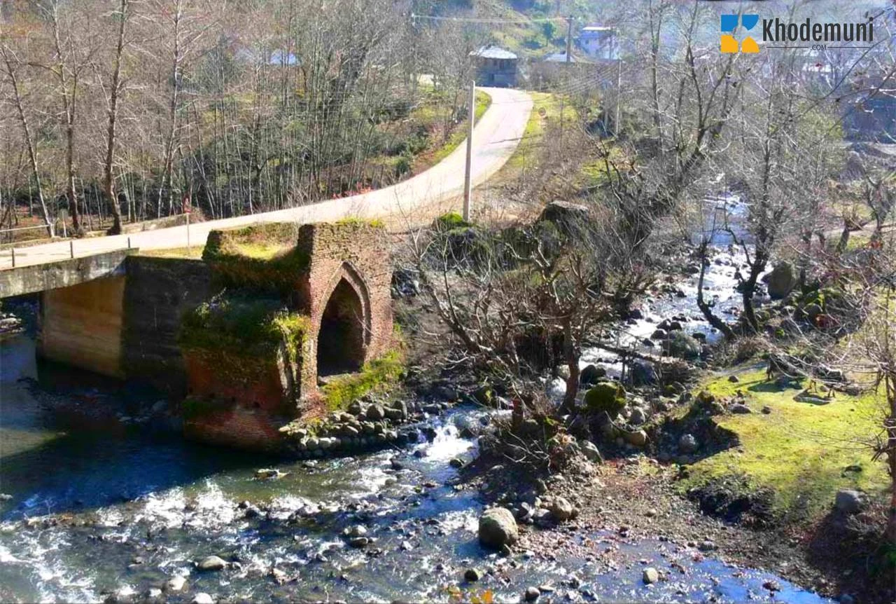 جنگل بلور دکان لنگرود