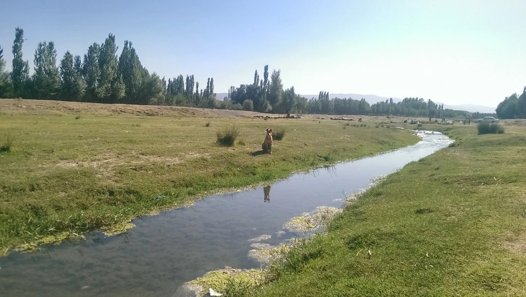 رودخانه اهر چای 