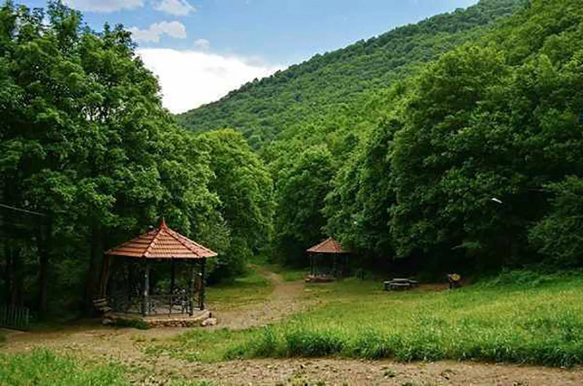 پارک جنگلی مکیدی کلیبر