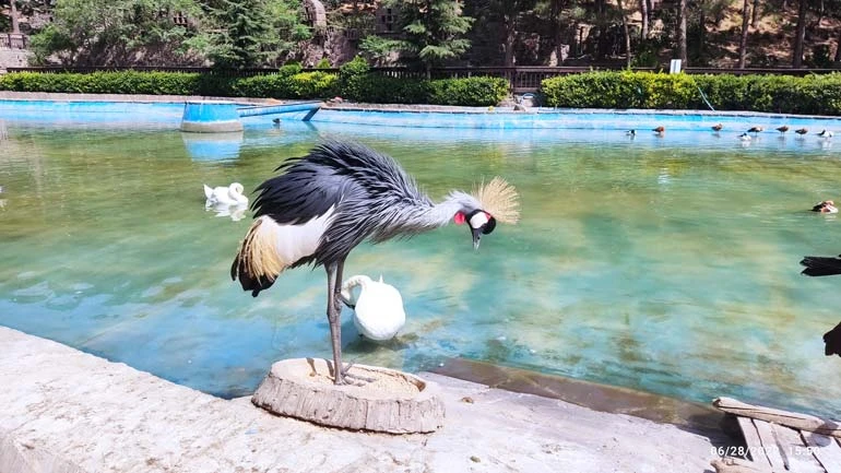 باغ پرندگان تهران