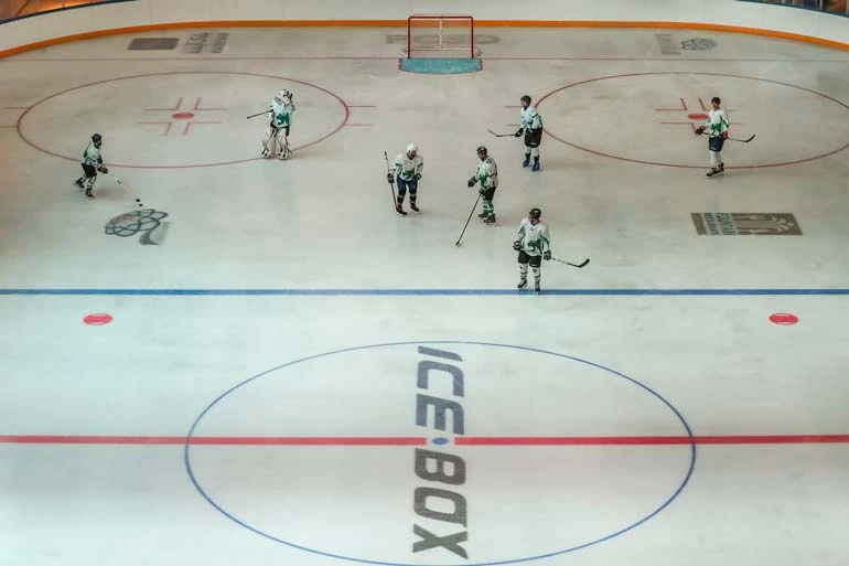 پاتیناژ ایران مال تهران