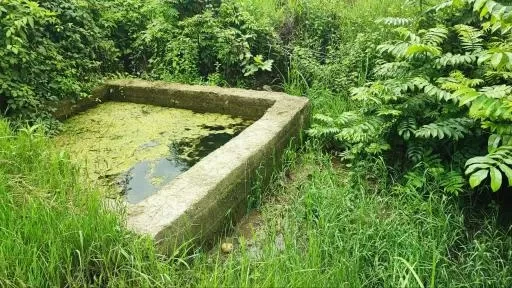 عروس چشمه تنها کلا بابل