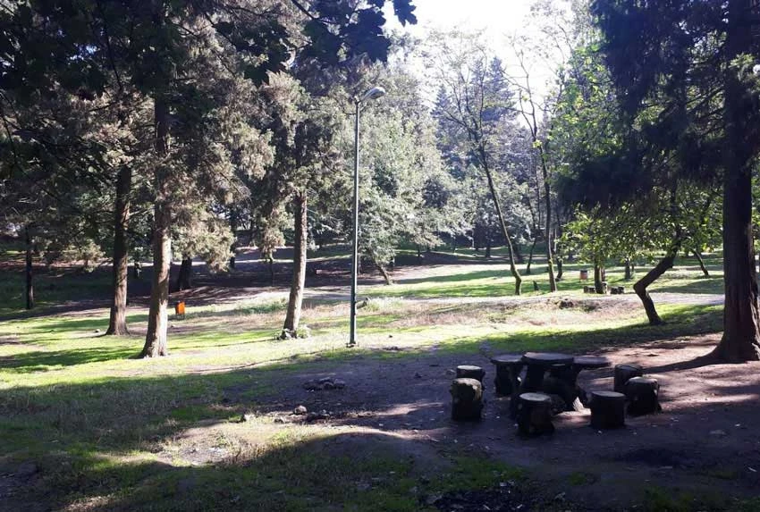 پارک جنگلی هلومسر آمل