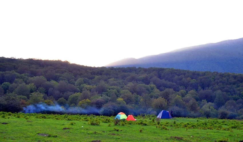 جنگل المیستان آمل