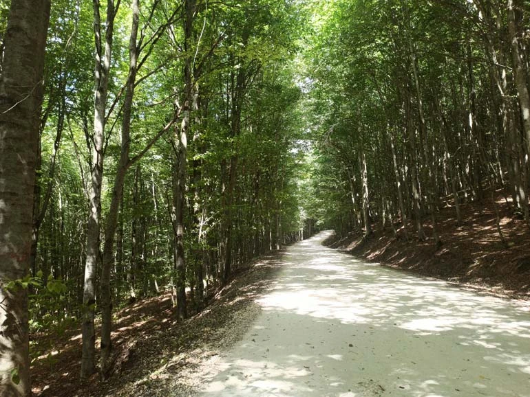  روستای یخ کش بهشهر