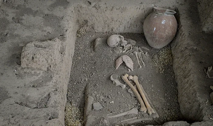  غار التپه بهشهر