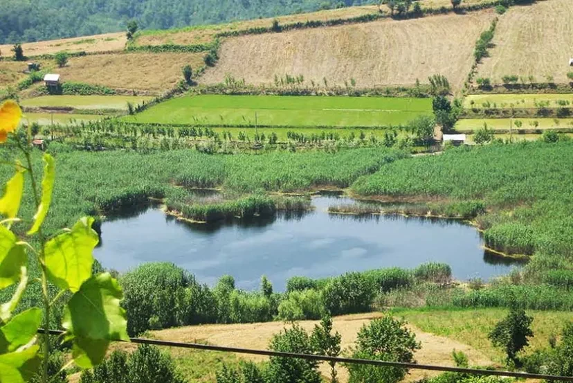 دریاچه استخر پشت نکا