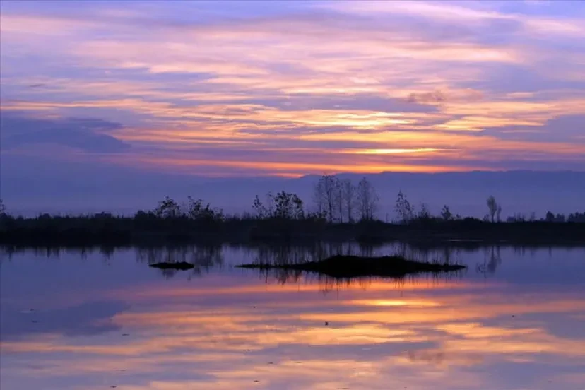 تالاب لپو زاغمرز نکا