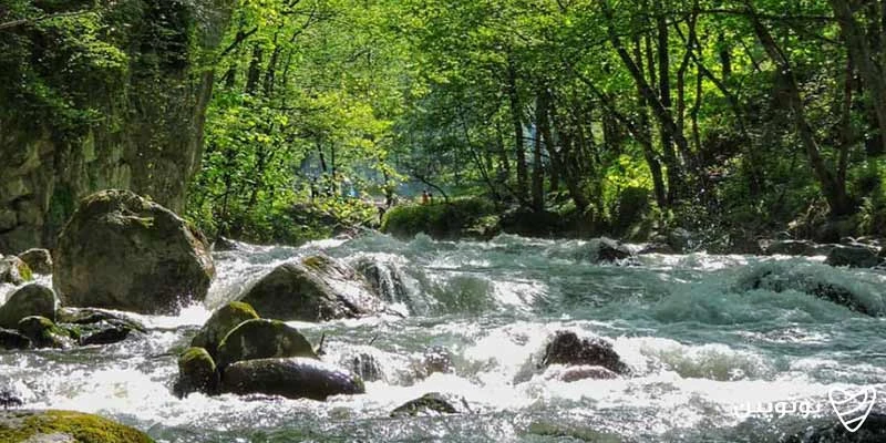 روستای لیرسر تنکابن