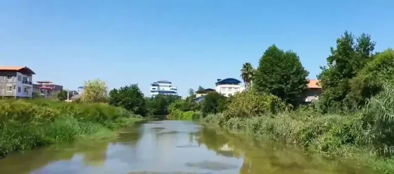 مرداب نشتا رود تنکابن