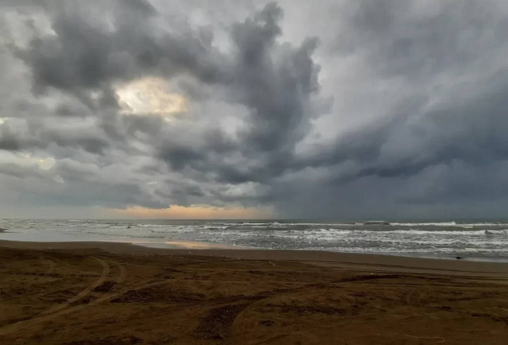 ساحل چپکرود جویبار