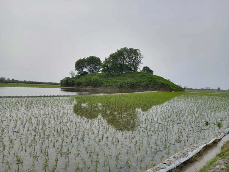 تپه های باستانی سرخرود محمودآباد