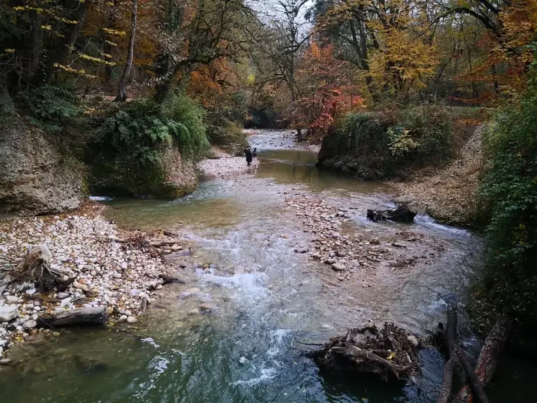 رودخانه پلنگ دره سوادکوه