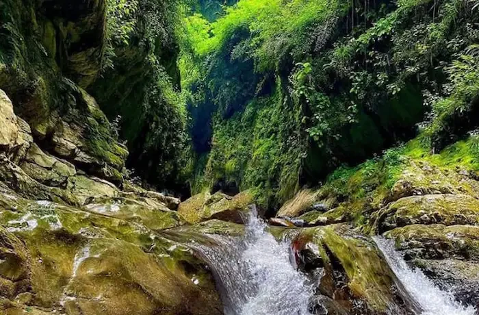 پارک جنگلی خرماچال کلاردشت