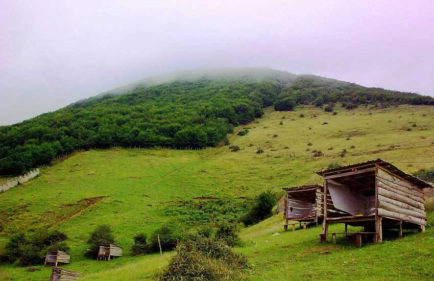 روستای کردیچال کلاردشت