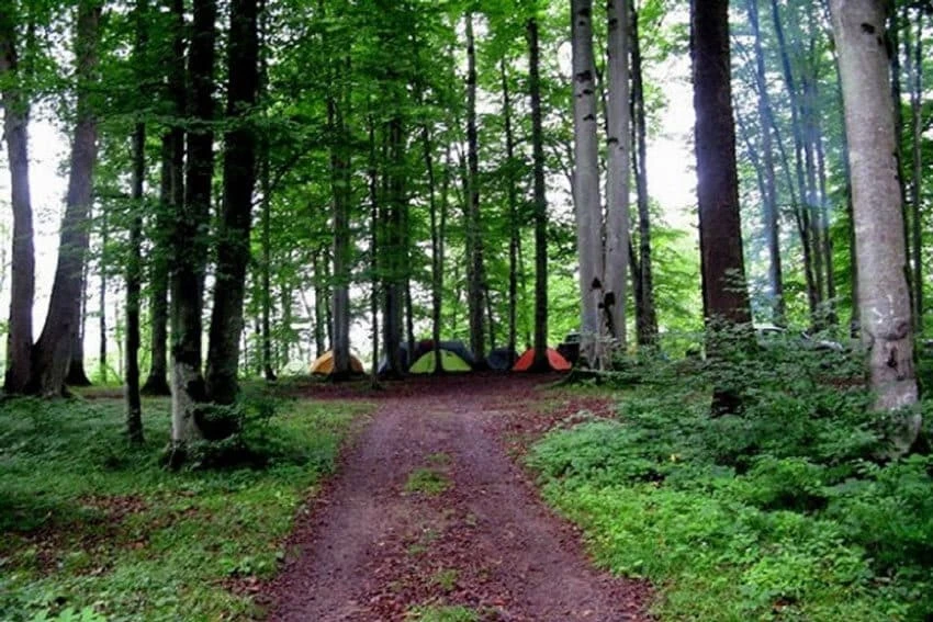 پارک جنگلی کشپل چمستان