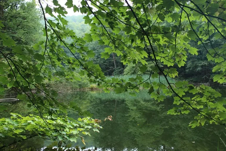 Farakhin Lake, Kajur, Nowshahr