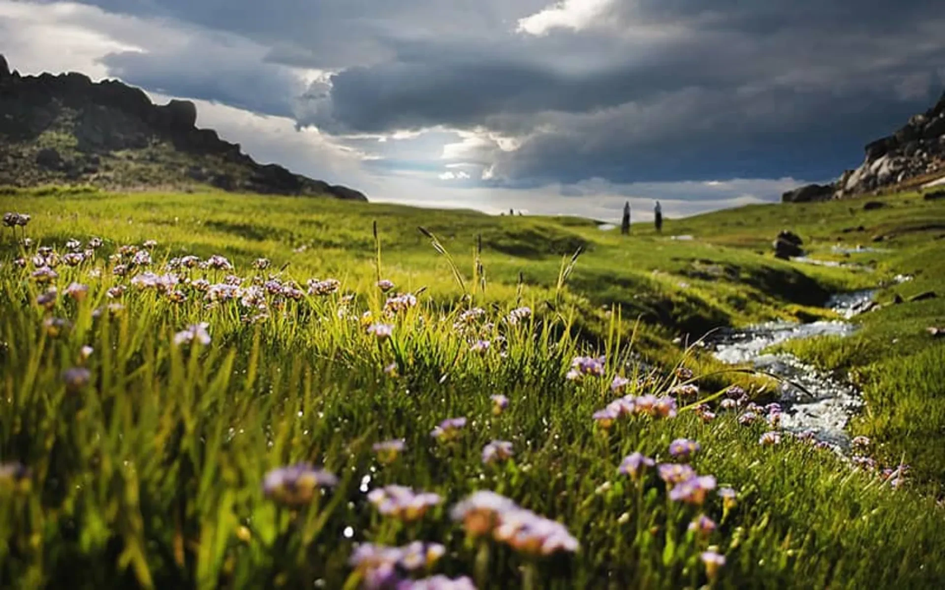 دشت میشان همدان
