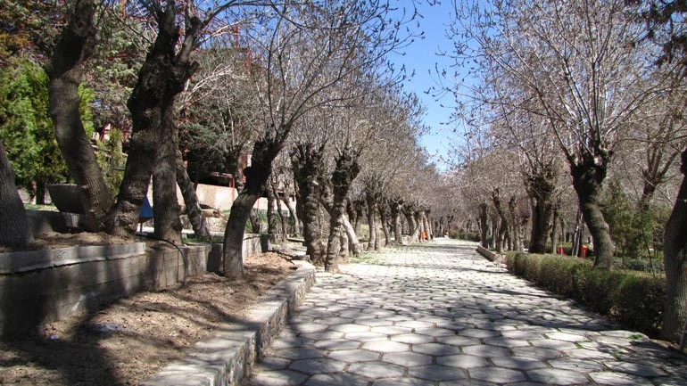 پارک سیفیه ملایر