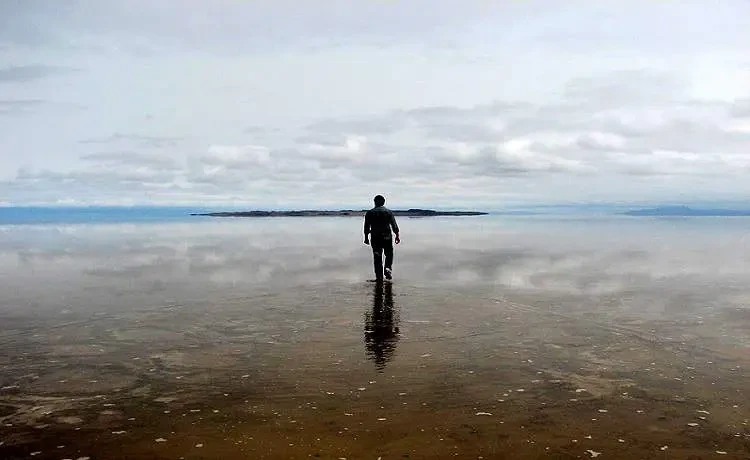 جزیره سرگردان آران و بید گل