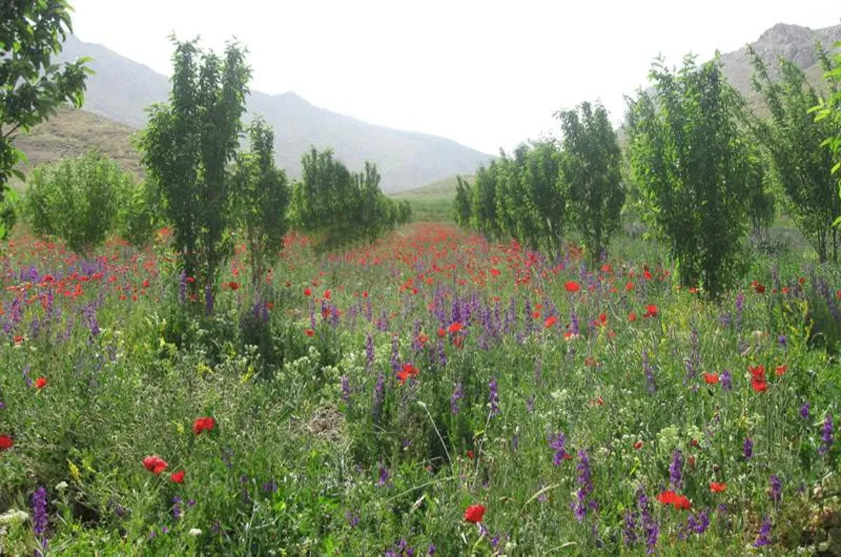 Долина Хана Алиша Семиром