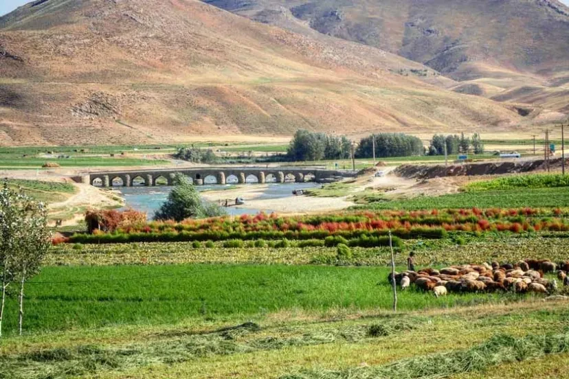 پل تاریخی اورگان چادگان