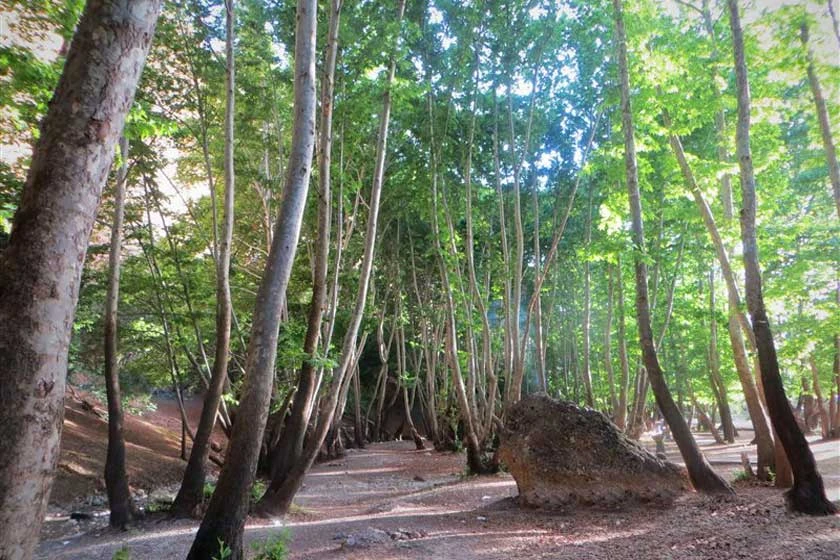 تنگ گنجه ای یاسوج