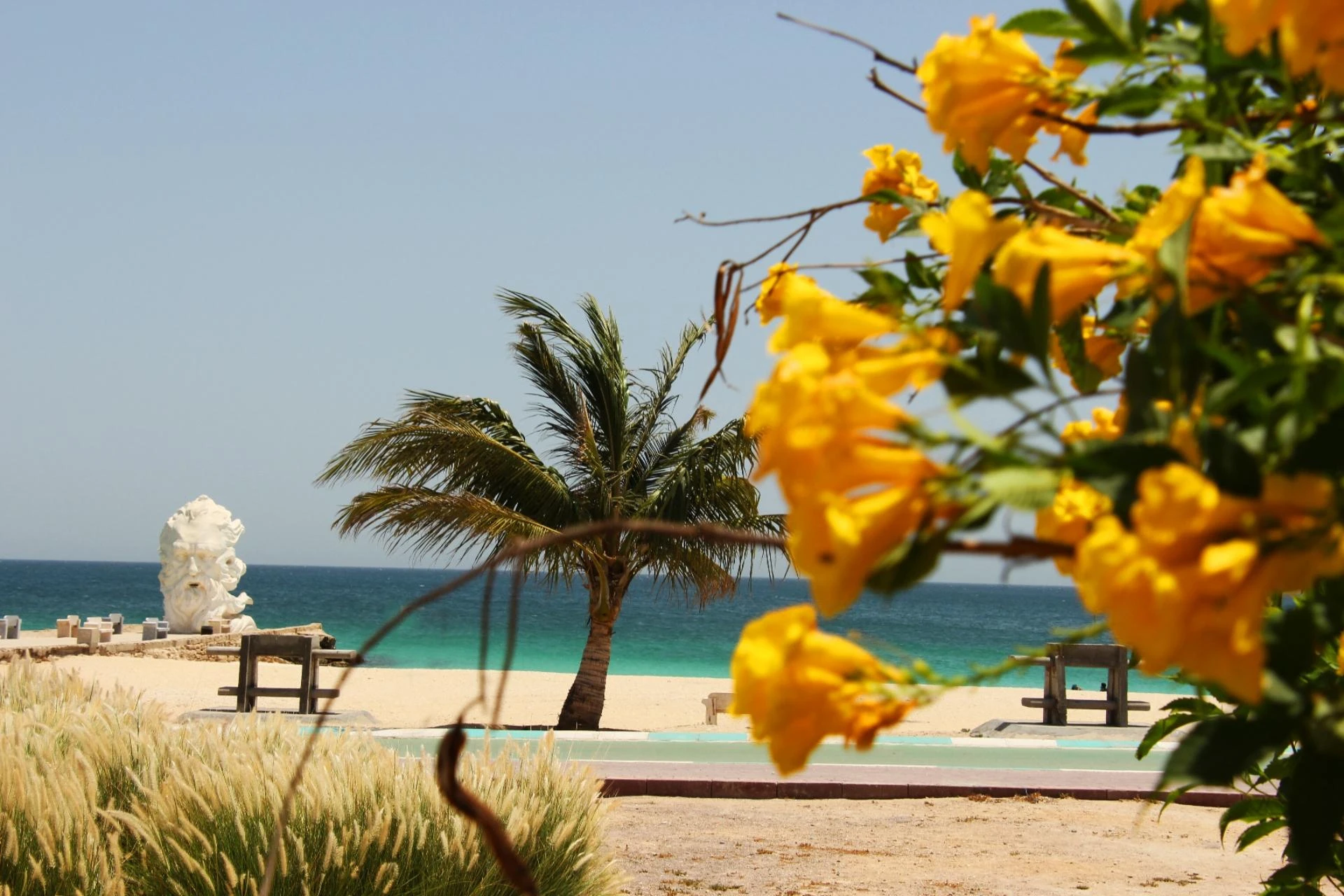 پارک ساحلی سیمرغ کیش