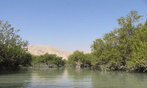 منطقه حفاظت شده گابریک و جنگل حرا جاسک