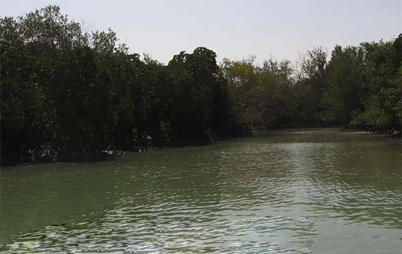 تالاب آذینی سیریک