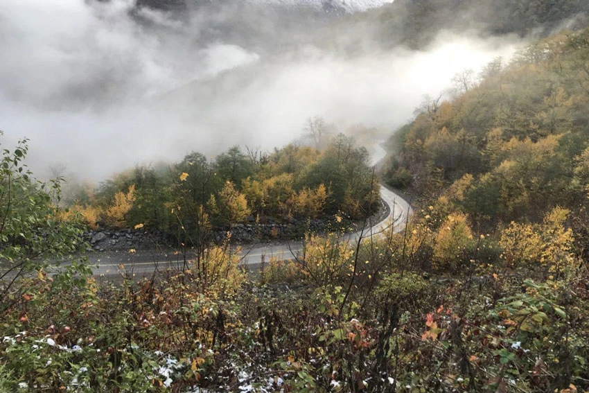 جنگل توسکستان گرگان