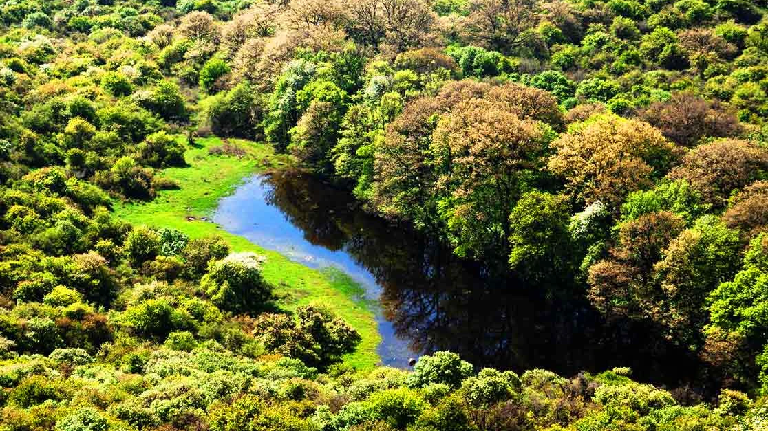 Nationalpark Golestan
