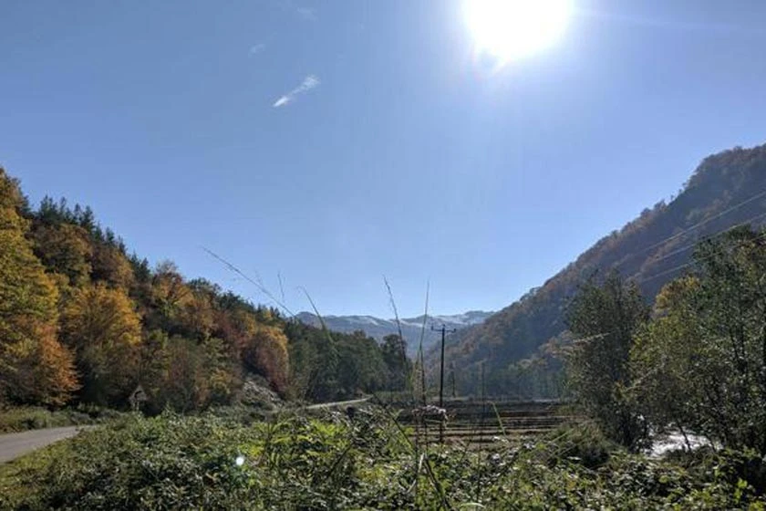 تنگه و جنگل چهل چای مینو دشت