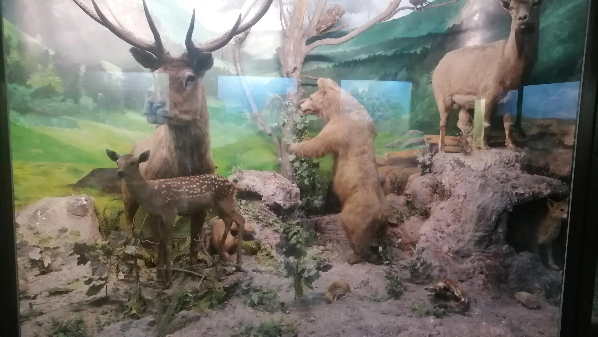 موزه میرزا بایلو گالیکش