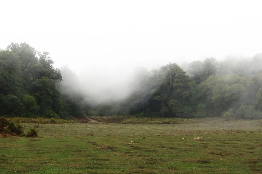 لته نوروز علی گالیکش