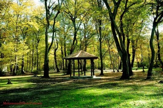 پارک جنگلی دلند رامیان