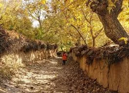 محله قصرالدشت شیراز