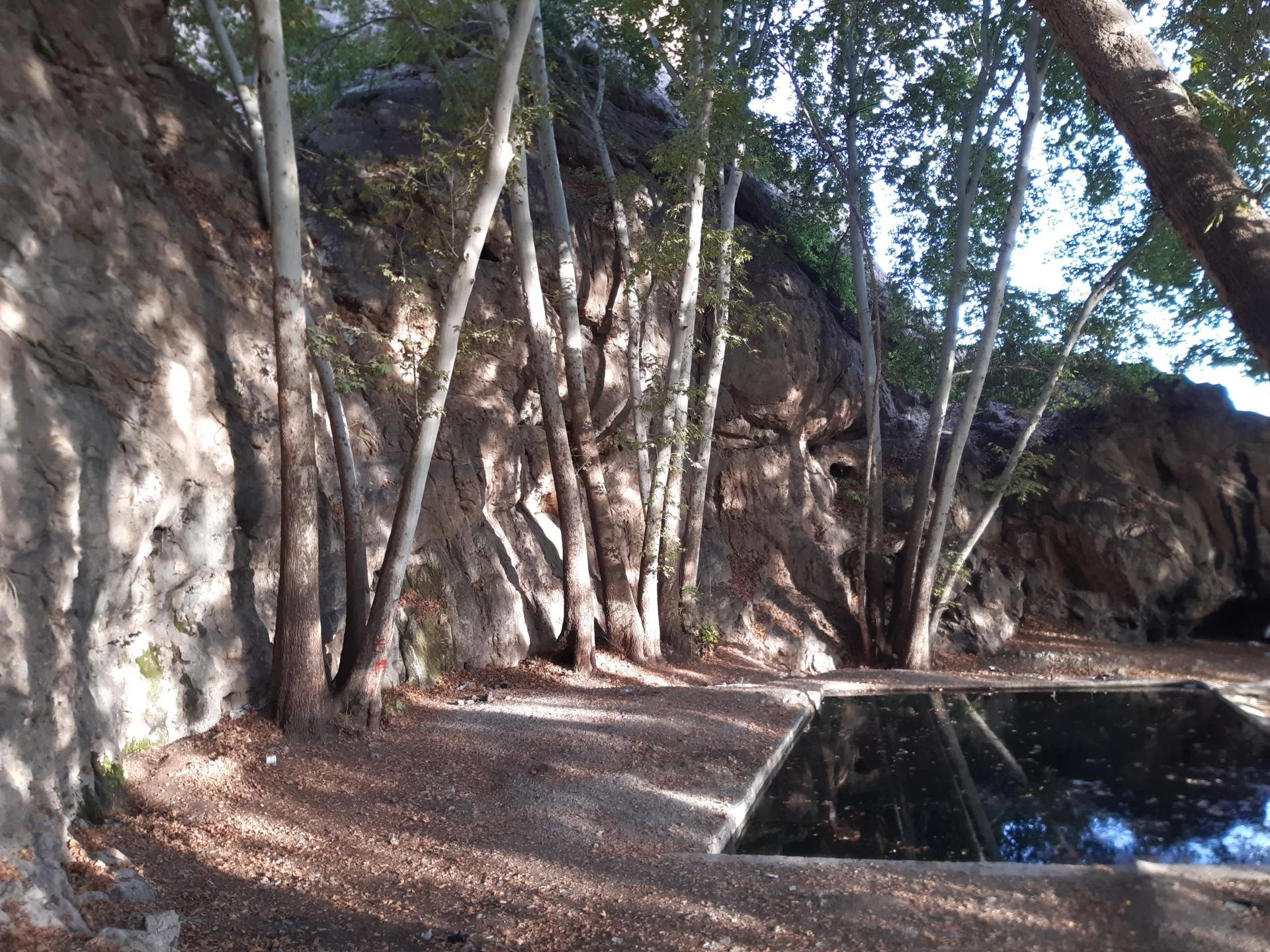 باغ بدره آب انار مرودشت