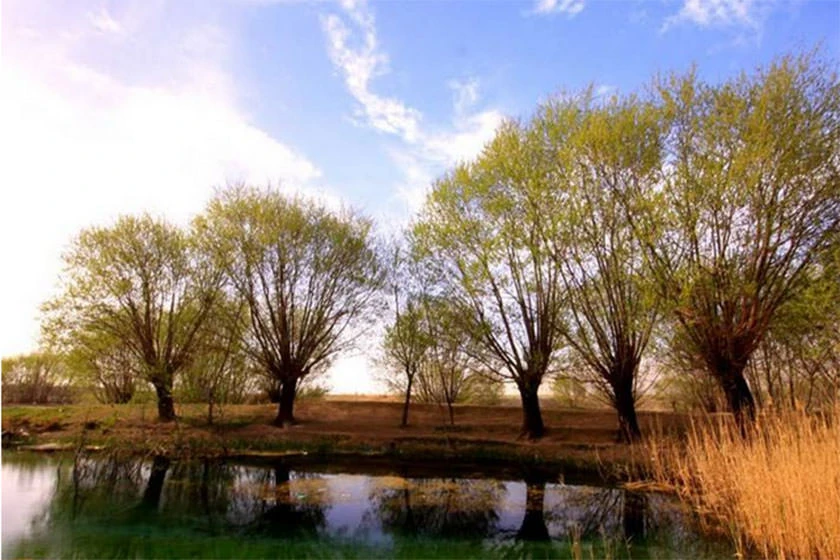 Source de Bālangān Eqlid