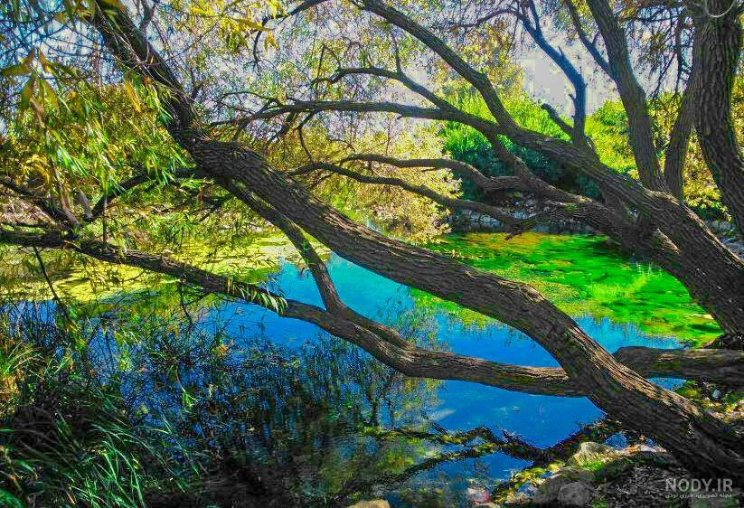 امام زاده و برکه شاه غیب کوار